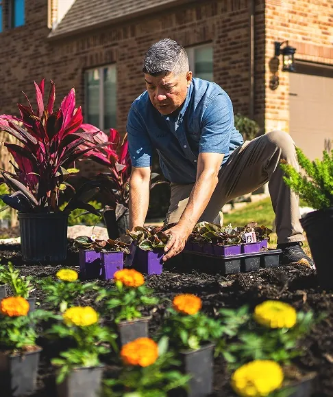 Primero TX Landscaping