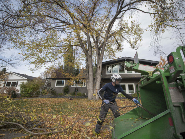 Tree Service and Arborist Business Resources Jobber