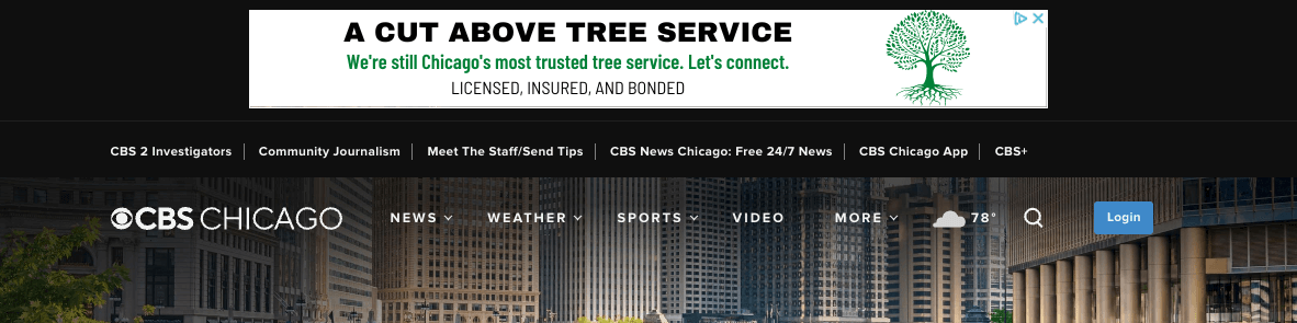 image of tree service Google Display banner ad