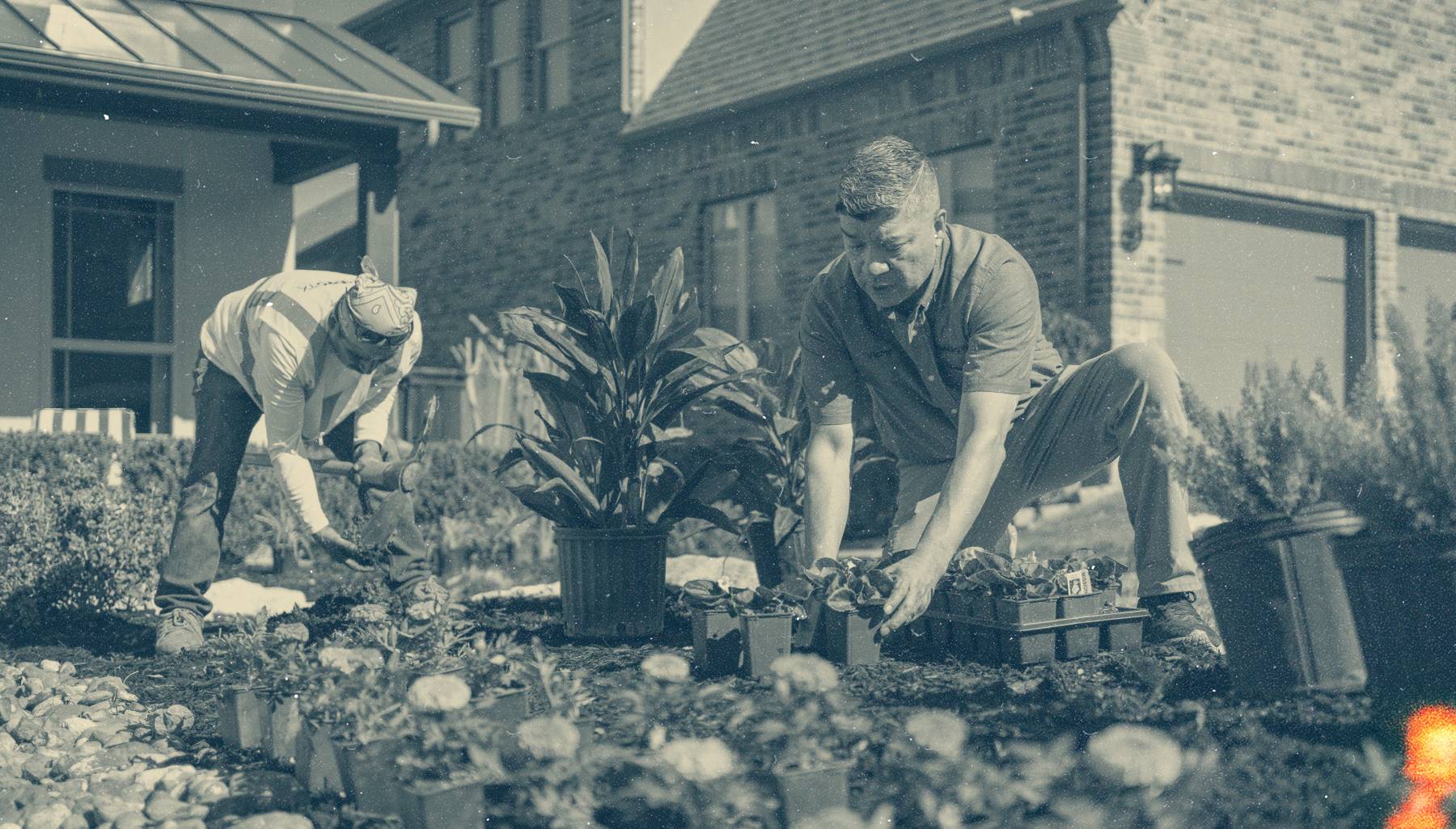 Jobber vs. LMN Which is Best for Running Your Business?